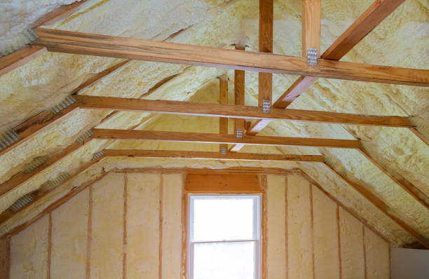 Best Eco-Friendly Insulation in Clendon, AR