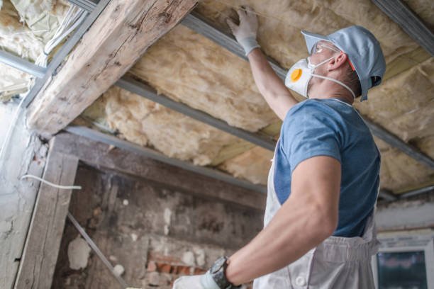 Best Spray Foam Insulation in Clendon, AR