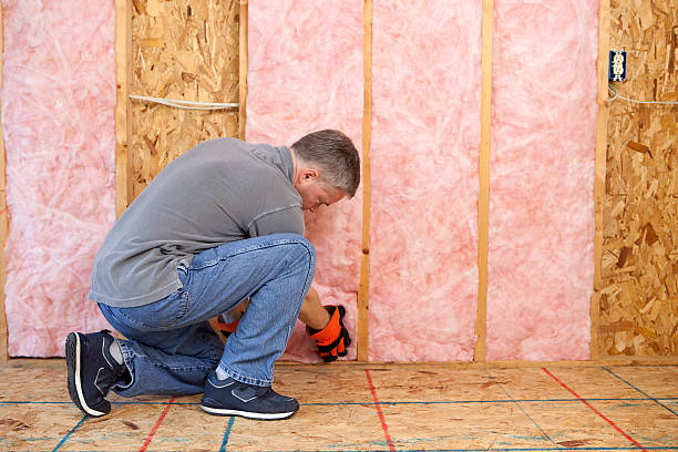 Professional Insulation Contractor in Clarendon, AR