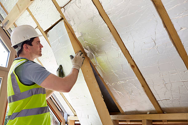 Best Residential Insulation in Clendon, AR