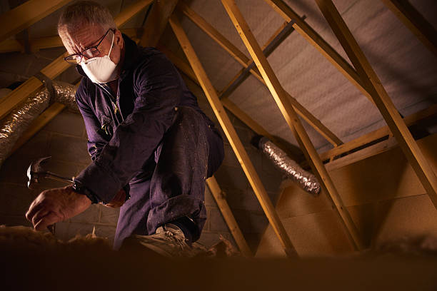 Types of Insulation We Offer in Clarendon, AR